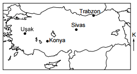 Soruda değerlendirilen şekil