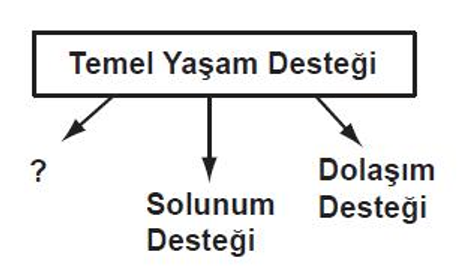 Soruda değerlendirilen şekil