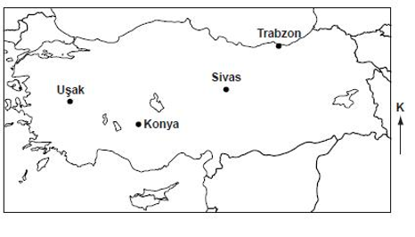 Soruda değerlendirilen şekil