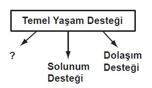 Soruda değerlendirilen şekil