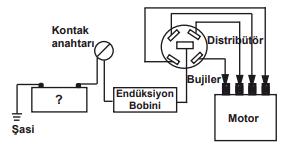 Soruda değerlendirilen şekil