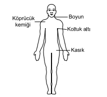 Soruda değerlendirilen şekil