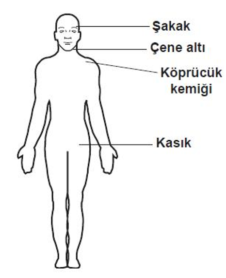 Soruda değerlendirilen şekil