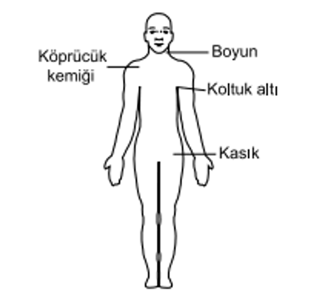 Soruda değerlendirilen şekil