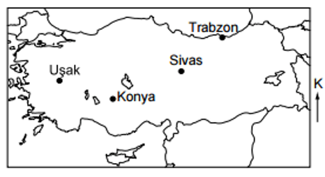 Soruda değerlendirilen şekil