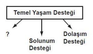 Soruda değerlendirilen şekil